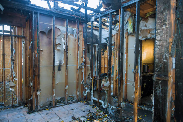 Professional Smoke Damage Removal technician working in Carrollton, TX